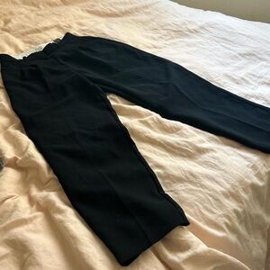 Aritzia Wilfred Carrot Pants